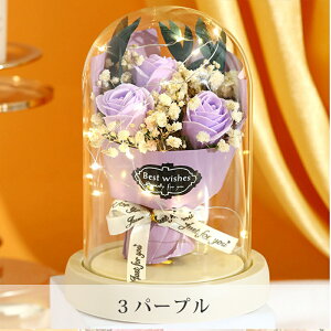 ̓ ԑ \[vt[ Iׂԑ Ԃ Ԕ a ̓Mtg 2025 ̓v[g A u[P J[l[V Ђ܂ o [Y  ͂Ȃ C{[ J[