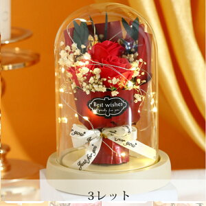 ̓ ԑ \[vt[ Iׂԑ Ԃ Ԕ a ̓Mtg 2025 ̓v[g A u[P J[l[V Ђ܂ o [Y  ͂Ȃ C{[ J[