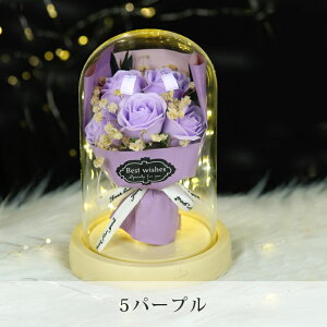 ̓ ԑ \[vt[ Iׂԑ Ԃ Ԕ a ̓Mtg 2025 ̓v[g A u[P J[l[V Ђ܂ o [Y  ͂Ȃ C{[ J[