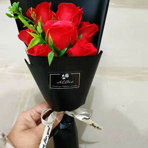 2025 \[vt[ ̓ v[g Mtg J[l[V o  Ђ܂ q}  a \ LO j  AWg t[  ͂Ȃ ސE 搶 