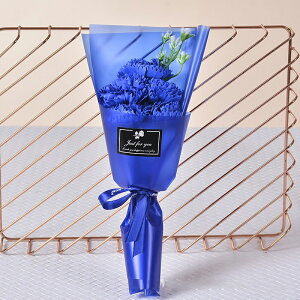 2025 \[vt[ ̓ v[g Mtg J[l[V o  Ђ܂ q}  a \ LO j  AWg t[  ͂Ȃ ސE 搶 