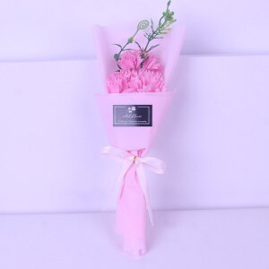 2025 \[vt[ ̓ v[g Mtg J[l[V o  Ђ܂ q}  a \ LO j  AWg t[  ͂Ȃ ސE 搶 