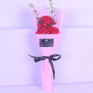 2025 \[vt[ ̓ v[g Mtg J[l[V o  Ђ܂ q}  a \ LO j  AWg t[  ͂Ȃ ސE 搶 