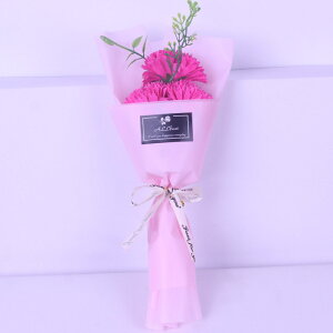 2025 \[vt[ ̓ v[g Mtg J[l[V o  Ђ܂ q}  a \ LO j  AWg t[  ͂Ȃ ސE 搶 