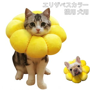 GUxXJ[ Lp p \tg 炩 Ȏ y p _炩 wXPA ی rߖh~ ޖh~ pEFA K \ ی rߖh~ ~h~  Ԃт