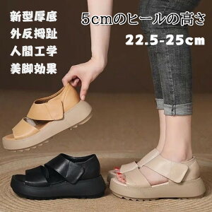 T_ T_ fB[X r Od lԍHw yʐ݌v ~ ₷ ʋCK L ʋC t  JWAV[Y EH[LOV[Y Xj[J[ EȂ ʋ 