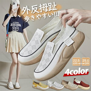 Xj[J[ fB[X O Xb|  Xj[J[ C JWAV[Y fB[X 5cm Od ₷ lԍHw [t@[ y ~ r ʋCK L 