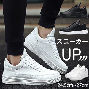 Xj[J[ Y C V[Y ʋ ʊw EH[LOV[Y oRC Cq[ [XAbvV[Y YV[Y rWlX JWA y  {[ ʋC C Xj