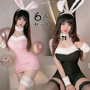 T^RX oj[K[ RXvߑ 6_Zbg oj[ RX`[  ETM  RXv  s[X ~j ZNV[ hX 傫TCY l fB[X nEB 