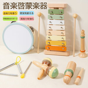 おもちゃ 音楽啓蒙 知育玩具 楽器セット ベビー用 幼児向け 早期教育 ベビー 赤ちゃん キッズ 木製 ドラム 赤ちゃんギフト 女の子 男の子 卓用 1歳 2歳 3歳 14歳以下 出産祝い プレ