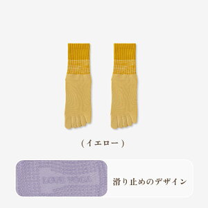 Kp K\bNX K _X 3Zbg \bNX 5{w ~ y ۉ R hL z X|[c \bNX tBbglX \bNX W \bNX g[jO \bNX 