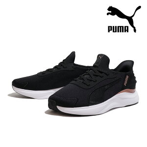 v[} Xj[J[ fB[X \tgCh n[j[ [X C[YC PUMA 312671-02 SOFTRIDE HARMONY LACE EASEIN BLACK/ROSE GOLD ubN/[YS[h