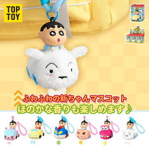 yTOP TOYzN񂿂񃉃J[ Fʂ uCh{bNX