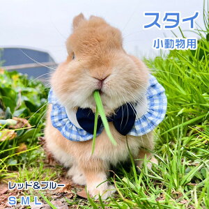 wpEFAxybgpi ybg  hX t[  p bg ETM hbO U o    e EFA  EFA