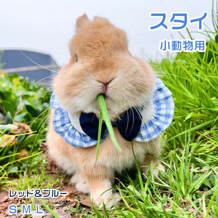 楽天市場 楽天スーパーsale10 Off 可愛い小動物用ウェア ペット用品 ペット服 小動物服 ドレス フラワー 可愛い 小動物用 モルモット ウサギ ドッグ 散歩 お出かけ おしゃれ うさぎ 服 兎服 うさぎウェア うさぎ ウェア Topvalue