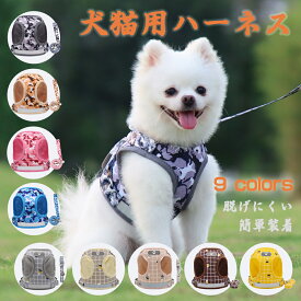猫 猫用 ハーネス ねこ リード付 ネコ おしゃれ 可愛い ベスト 軽量 調節可能 ペット 猫ハーネス ベスト かわいい 抜けない ダブル 簡単装着 散歩 胴輪 お出かけ キャット ドッグ メッシュ