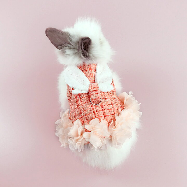 楽天市場 ハーネス付き 調整可能 ウサギ 猫 ハーネス 4色 モルモット ハーネス 可愛いうさぎ服 美しく優雅 小型ハムスター うさぎハーネス リードセット 胸あて式 調節可能 うさぎ 着ぐるみ 散歩 軽量 簡単着脱 迷子防止 牽引ロープ 記念撮影 小動物 薄手 仮装