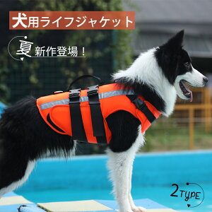 ybg CtWPbg  ^ ^ ^ p ~ ybgWPbg pCtWPbg j̗Kpi  ~} ybgCtWPbg  j~ 