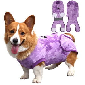  p㕞 GUxXJ[ ^ ^ j̎q ̎q Dp㕞 p㕞 앞 }WbNe[v 畆a ё΍ hbOEFA p[X 