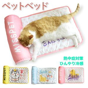 猫 ベッド 夏用の人気商品 通販 価格比較 価格 Com 猫 ベッド 夏用の人気商品 通販 価格比較 価格 Com