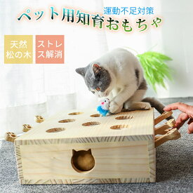 猫 おもちゃ 猫じゃらし 木製 モグラ叩き ネズミ 猫遊び 安全素材 木箱 ねこじゃらし ペット マウス 知育玩具 ペットグッズ 自分で遊ぶ好奇心をくすぐる もぐらたたき 運動不足 ストレス解消