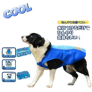 ybg N[xXg p MǑ΍ ЂxXg ⊴ ^ ^ Ђ ڐG⊴ ybg ЂxXg ybg  ΍ ObY ybg ₷   ybgpi  