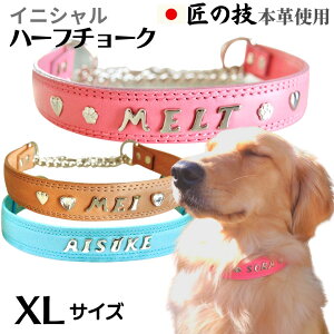 I[_[Ch@CjVn[t`[N {v@XLTCY@n[t`[J[ ^ n[t`[N@v   v 킢  TOPWAN