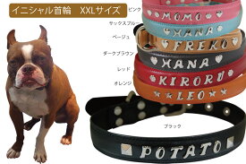 楽天市場 犬 首輪 革 オーダー メイドの通販