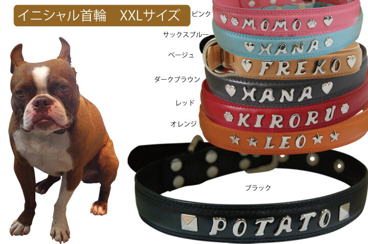 楽天市場 Topwan イニシャルスタッズ首輪 Xxlサイズ 名前入り首輪 オーダーメイド 首輪 革首輪 大型犬 名前入り 名入り 名前 名前入 皮 革 レトリーバー ドーベルマン オーダーメイド首輪 トップワンこだわりの愛犬猫グッズ