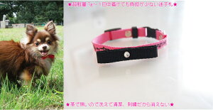 刺繍 チョーカー 犬用首輪 リード ハーネスの人気商品 通販 価格比較 価格 Com 刺繍 チョーカー 犬用首輪 リード ハーネスの人気商品 通販 価格比較 価格 Com