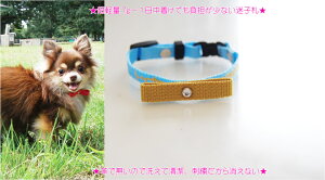 ���q�D�h�J��� S�T�C�Y ��ڂ��� �� ���q�D �h�J �o�C�J���[�^�C�v�@�����^���@���^���@���O�� ������@�d�b�ԍ� �l�[����� �h�J�̊֌W�Ŏ����16cm����̐���