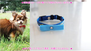 ���q�D�h�J��� S�T�C�Y ��ڂ��� �� ���q�D �h�J �o�C�J���[�^�C�v�@�����^���@���^���@���O�� ������@�d�b�ԍ� �l�[����� �h�J�̊֌W�Ŏ����16cm����̐���