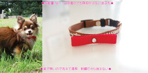 qDhJ STCY ڂ  qD hJ oCJ[^Cv@^@^@O @dbԍ l[ hJ̊֌WŎ16cm̐