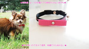 ���q�D�h�J��� S�T�C�Y ��ڂ��� �� ���q�D �h�J �o�C�J���[�^�C�v�@�����^���@���^���@���O�� ������@�d�b�ԍ� �l�[����� �h�J�̊֌W�Ŏ����16cm����̐���