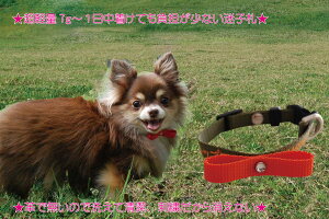 qD hJ STCY@ڂ  qD hJoCJ[^Cv ^  l[^O O  dbԍ l[ hJ̊֌WŎ16cm̐