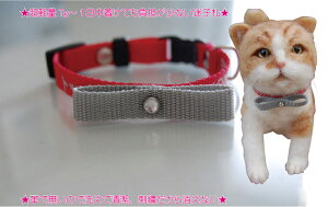 qD hJLց@STCY@ڂL L qD hJ oCJ[^Cv@˂@lR@O @dbԍ l[  l[^O hJ̊֌WŎ16cm̐