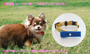 qD hJ STCY ڂ  qD hJ oCJ[^Cv@^@^@O @dbԍ l[ l[^O  hJ̊֌WŎ16cm̐