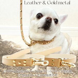  [h i`S[h[h LTCY 25mm TOPWAN y{zyElzOWA[ S[hJ[ ^ ^ {v  S[fgo[ uhbO   