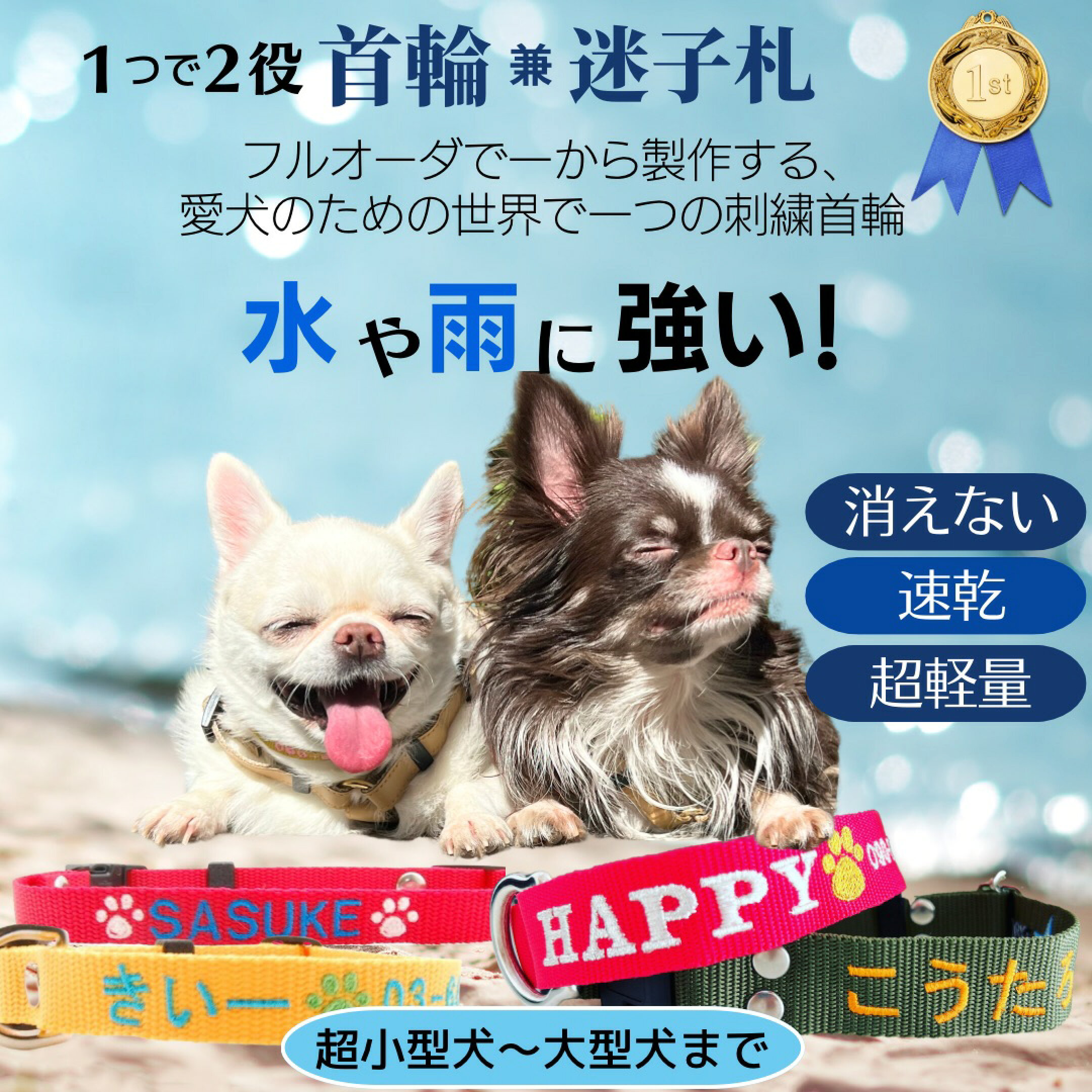 犬 迷子札