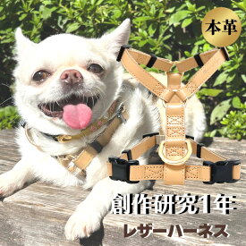 犬 ハーネス 胴輪 Lサイズ 本革 中型犬 大型犬 日本製 レザー harness 抜けにくい 負担が少ない レトリーバー オシャレ おしゃれ　かわいい TOPWAN TOKYO Treasure dogs 姫路レザー