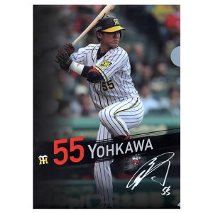 _^CK[X ObY z INAt@C 2Zbg y_ ^CK[X  ϐ  F t@C 2g HANSHIN Tigersz