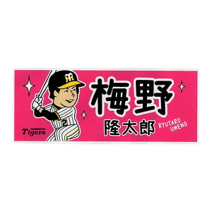ラストタオル フェイスタオル 野球用品の人気商品 通販 価格比較 価格 Com