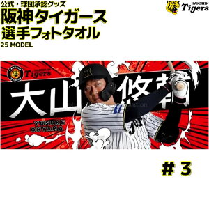 _^CK[X ObY R ItHg^I 25Nfʐ^ 摜 RI wԍ3 ObY  ϐ  bq _ ^CK[X  HANSHIN Tigers ^I