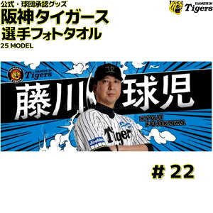 _^CK[X ObY  ē ItHg^I 25Nfʐ^ 摜 wԍ22 싅 ObY  ϐ  bq _ ^CK[X  HANSHIN Tigers ^I