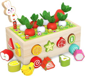 モンテッソーリ 教育玩具 形合わせ 木製おもちゃ 果物の認知 形はめ込み 農場大根抜き 磁石虫取りゲーム 男 の子 女の子 早期開発 指先訓練 誕生日 クリスマス プレゼント 入園祝い