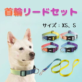 あす楽 リード 小型犬 首輪 リードセット 犬 散歩用 かわいい グラデーション 中型犬 小型 犬 おしゃれ かわいい ブランド 痛くない 猫 可愛い (XS、Sサイズ)