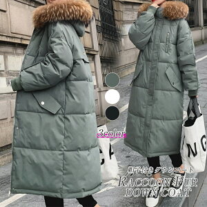 _ER[g R[g fB[X ~ _EWPbg OR[g t[ht t@[t t@[ O\ AE^[ Wp[ OJ hXg  g h  O y