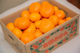 みかん有田みかん 5kg　大き目サイズ、小さめサイズ　早生みかん　家庭用、お歳暮用、お母さんが好きなサイズ　送料無料