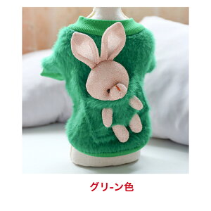 ̕ ̃ANZT[^^t~, NX}XT^N[XVcRR@gA@yAA`@V[YB}`[YA_bNXth@pN@LoA