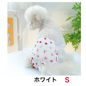 Vcpcppcppcpc^^ybghbOEGAUKtHĕ~`gCv[h_bNXthnLk